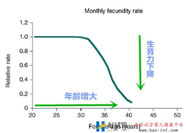 高龄女性对试管婴儿成功率有哪些影响如何提高女性卵子质量(图1)