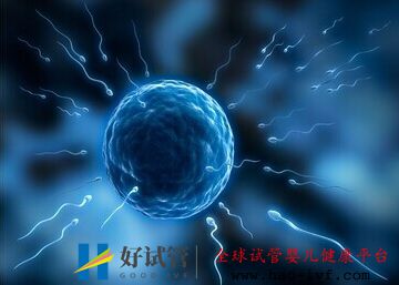 同卵双胞胎为什么不会是龙凤胎戳，科学解释其真正原因(图1)