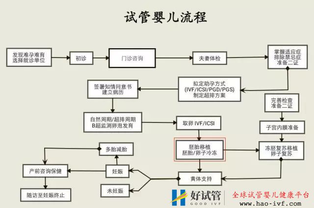 【试管流程·移植】胚胎移植流程及注意事项(图1)