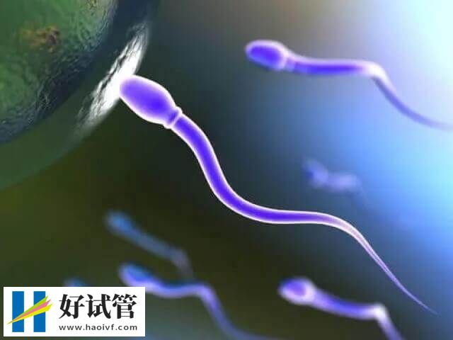 精子活动力abcd4级的正常值参考范围