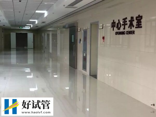 马来西亚做试管双胞胎的过程是怎样的