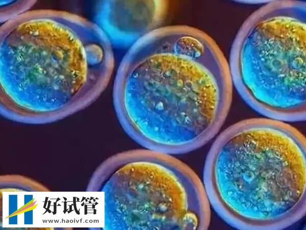 amh0.25试管婴儿成功率低