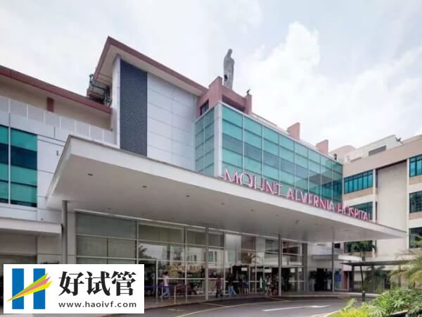 新加坡医生试管技术怎么样