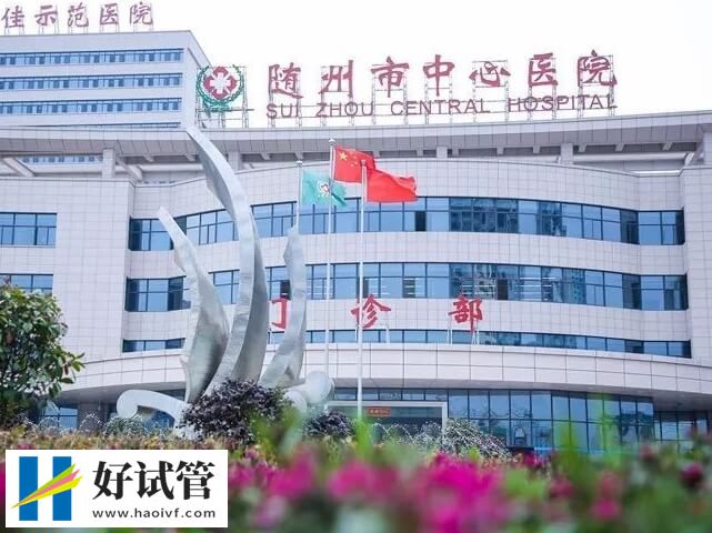 随州市中心医院试管成功率多少