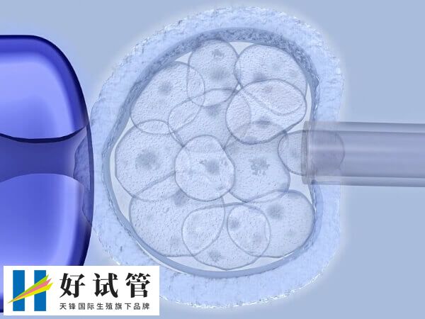 6天的5bc囊胚移植成功率高不高(图2) 囊胚移植后最迟七天着床